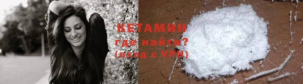 соль ск Дмитриев