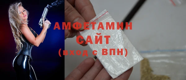 соль ск Дмитриев