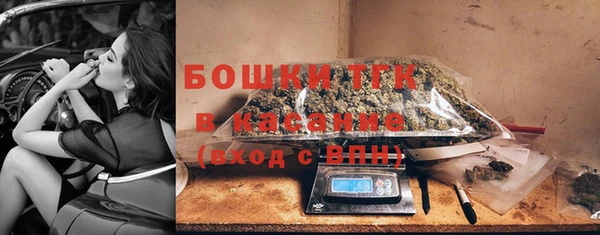 соль ск Дмитриев