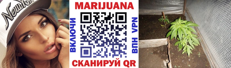 Купить где  Калтан  Каннабис конопля 